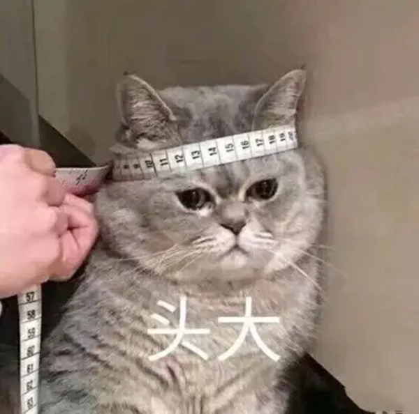 微信图片_20220402111531_副本.png